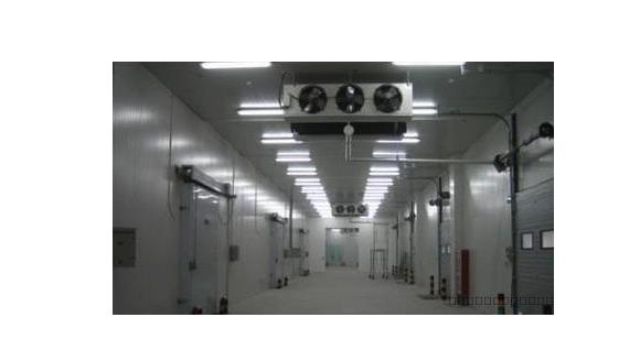 ʳƷ�����(k��)�О�ʲô��(hu��)���F(xi��n)�a(ch��n)������F(xi��n)����